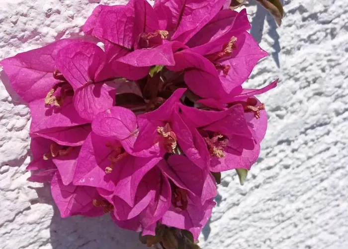 Prekrasan Sa Kaminom Lägenhet *