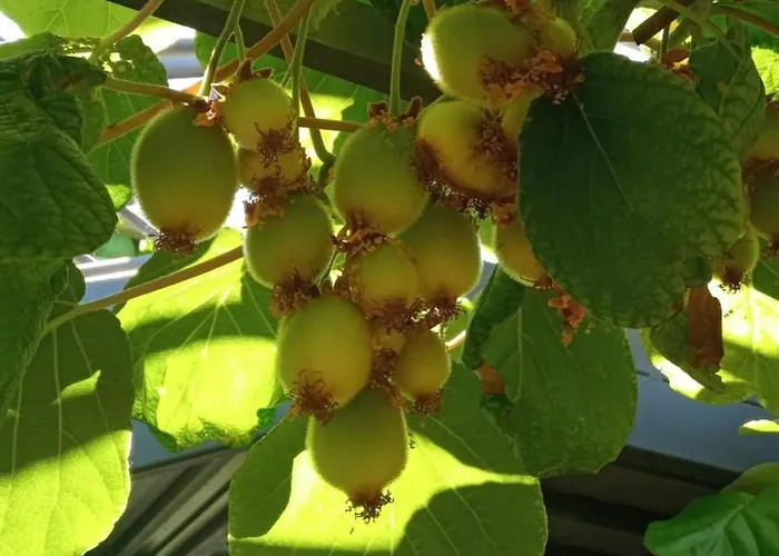 Prekrasan Sa Kaminom Lägenhet *